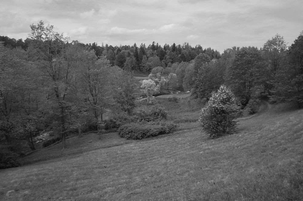 Photograph by Людмила Викулова