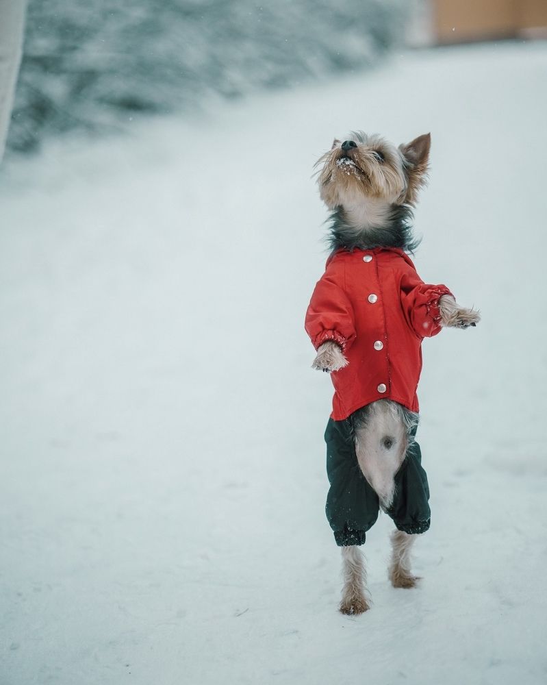 Photograph by Татьяна Скорина