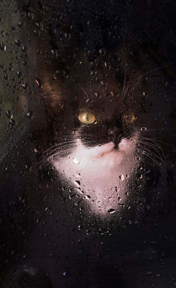 Photograph by Анастасия Тетерина