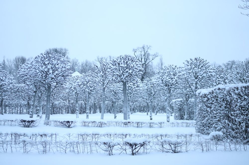 Photograph by Наталья Гусева