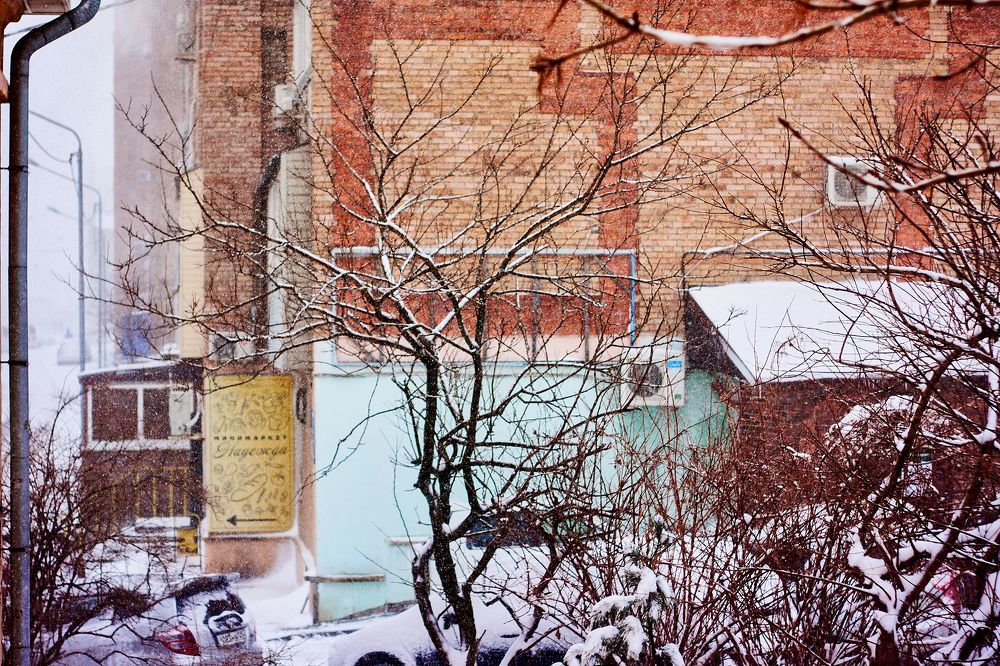 Photograph by Лариса Неман