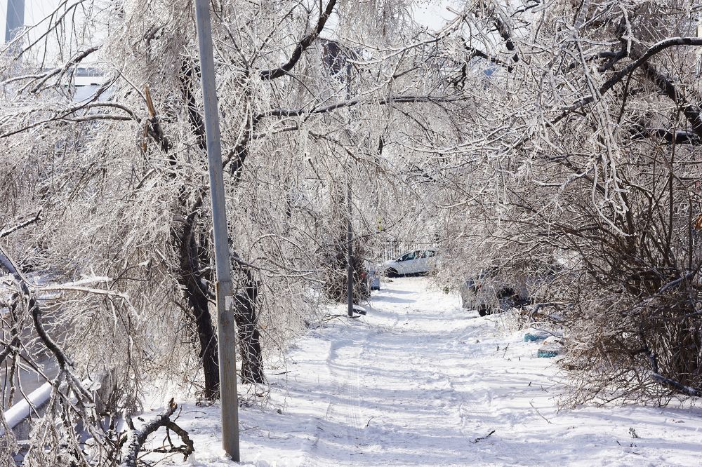 Photograph by Лариса Неман