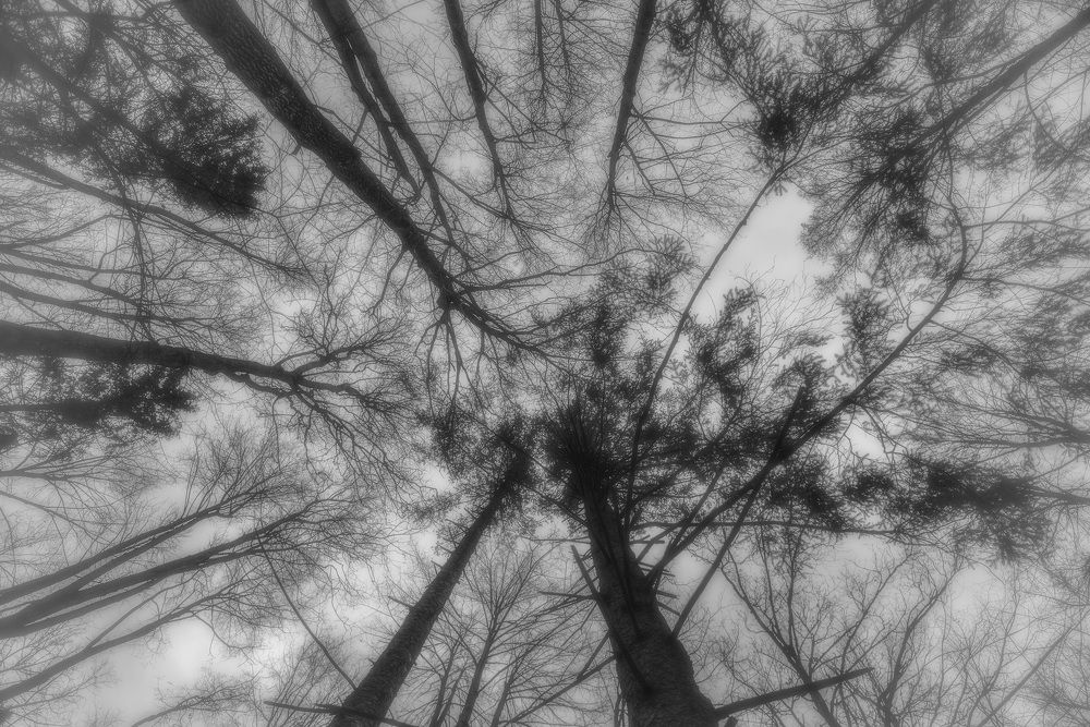 Photograph by Helena Proshkina