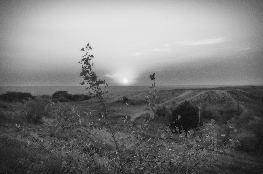 Photograph by Helena Proshkina