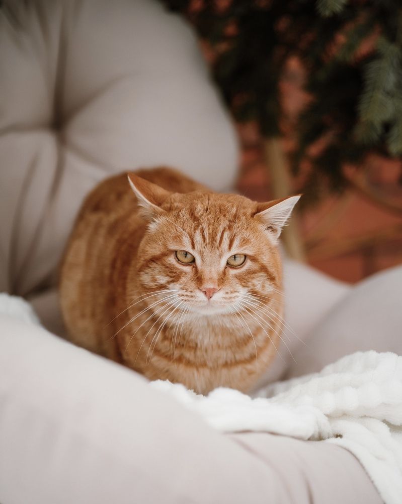 Photograph by Татьяна Скорина