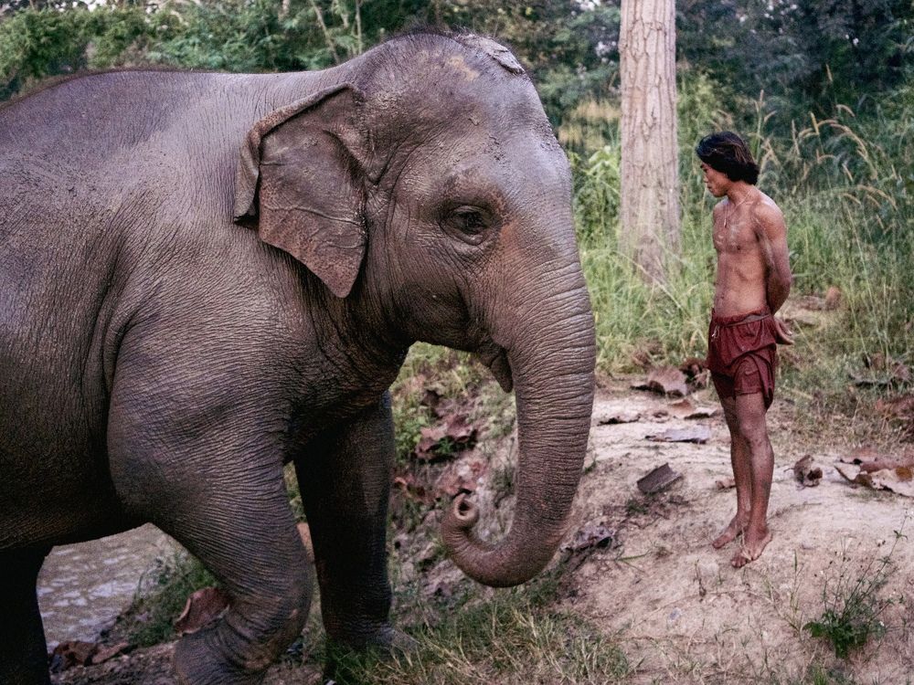 Ancestral connection