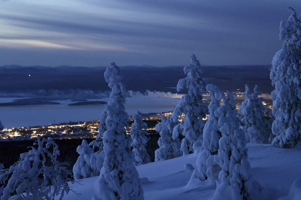 На страже ночи