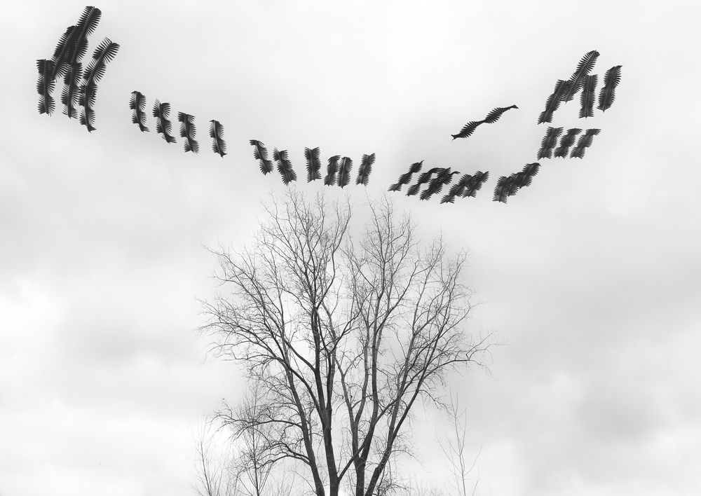 Photograph by Raghuvamsh Chavali