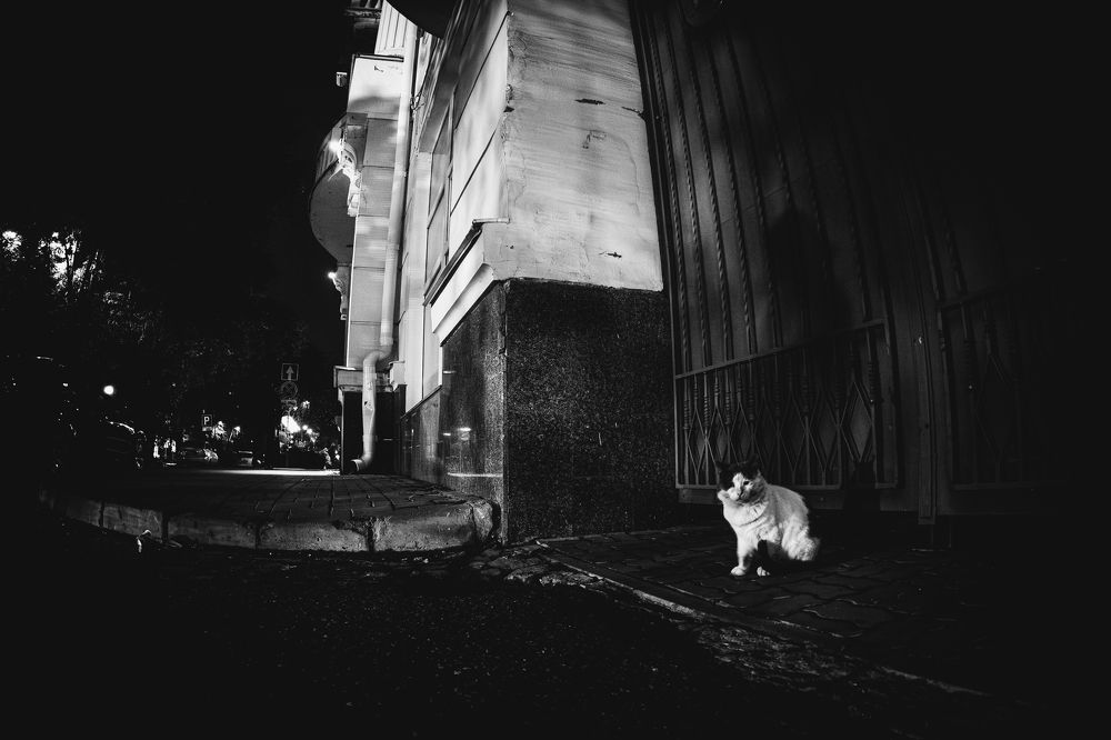 Photograph by Ника Обида