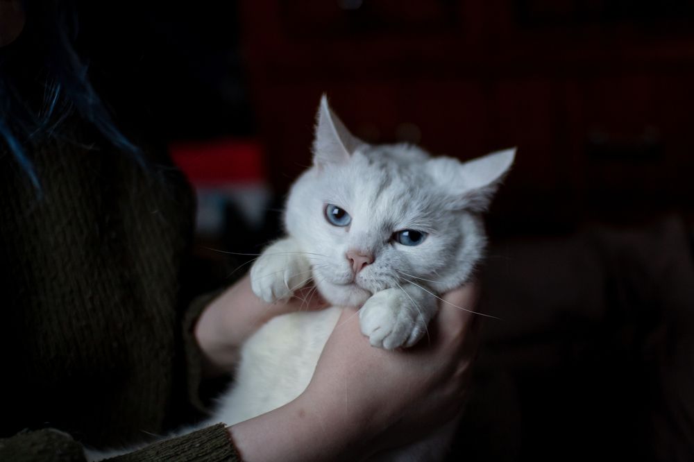 Photograph by Ванда