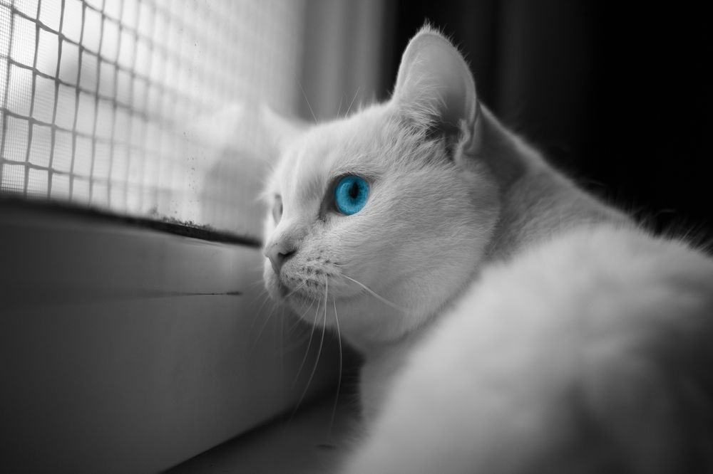 Photograph by Ванда