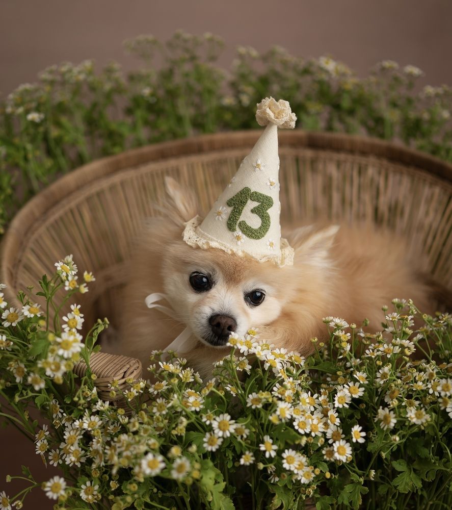 Photograph by Mihaela Zuza