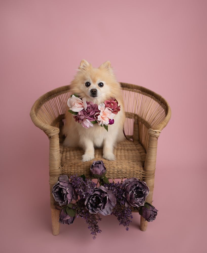 Photograph by Mihaela Zuza