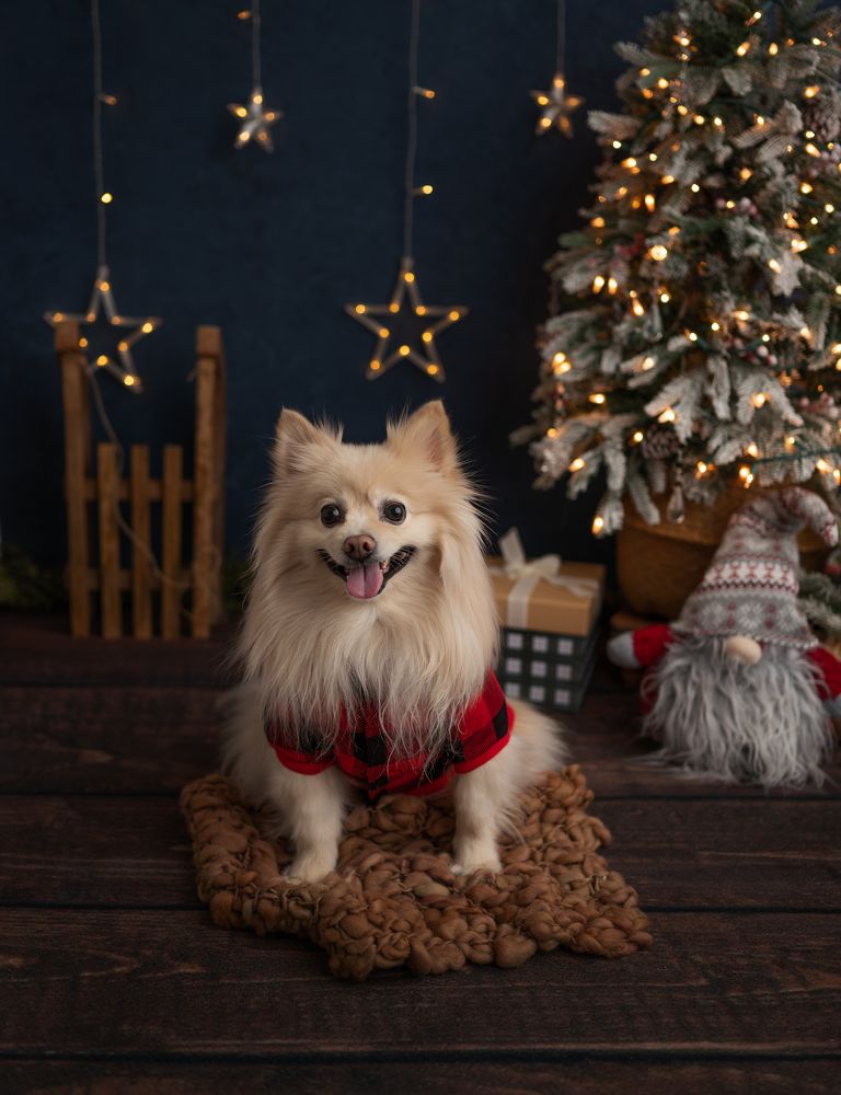 Photograph by Mihaela Zuza