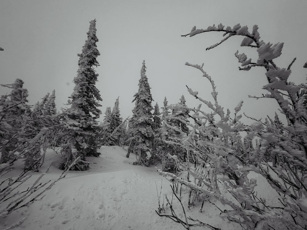 Photograph by Мария Петрова