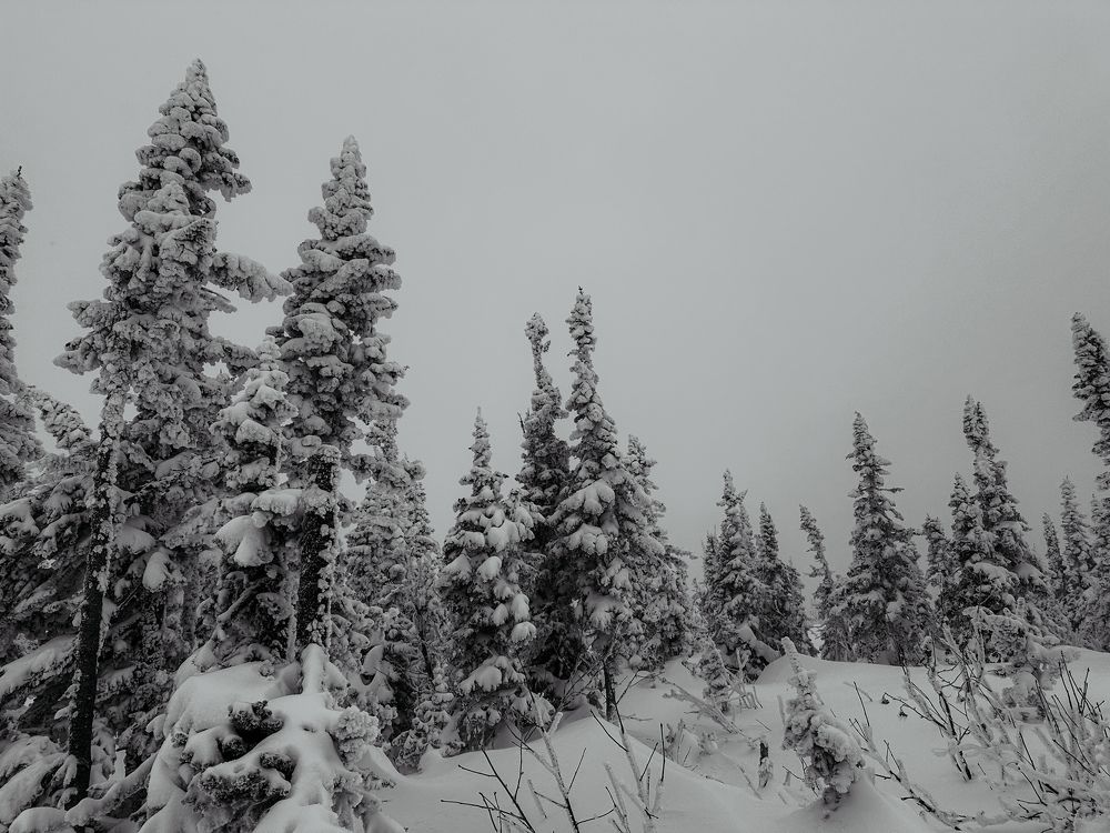 Photograph by Мария Петрова