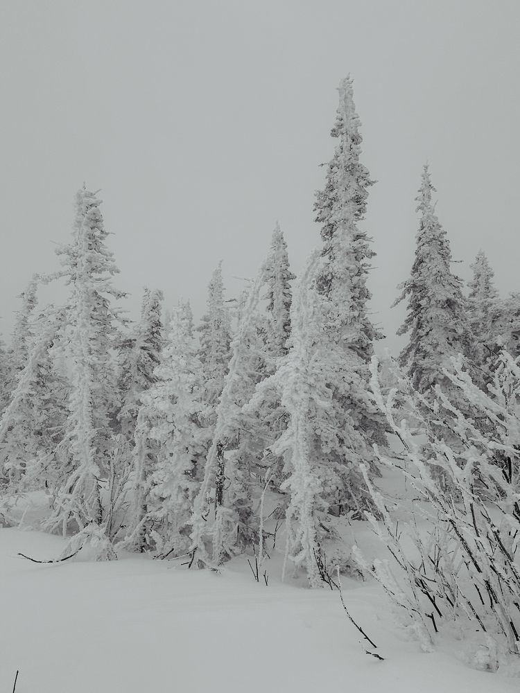 Photograph by Мария Петрова