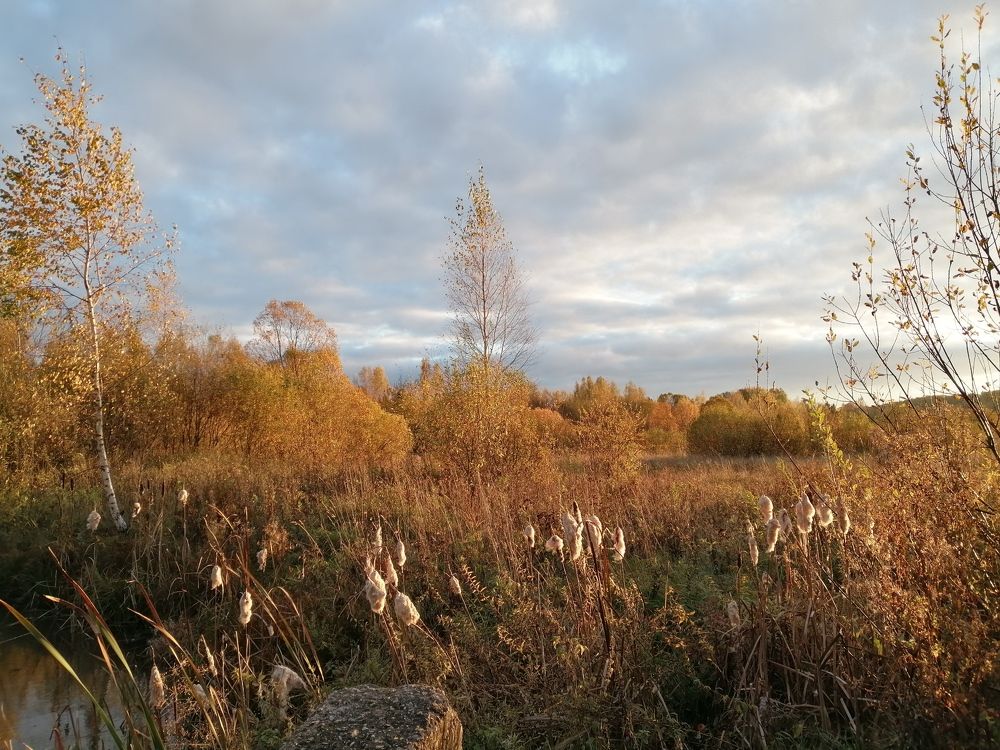 Фотография автора Кузьмичева Екатерина Васильевна