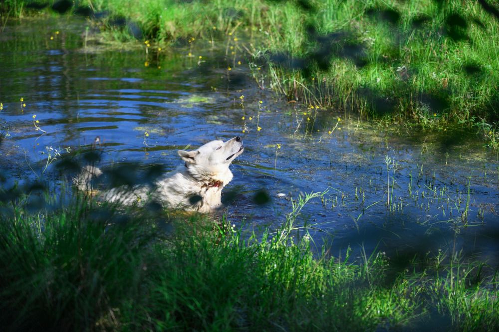 Photograph by Анастасия Тетерина