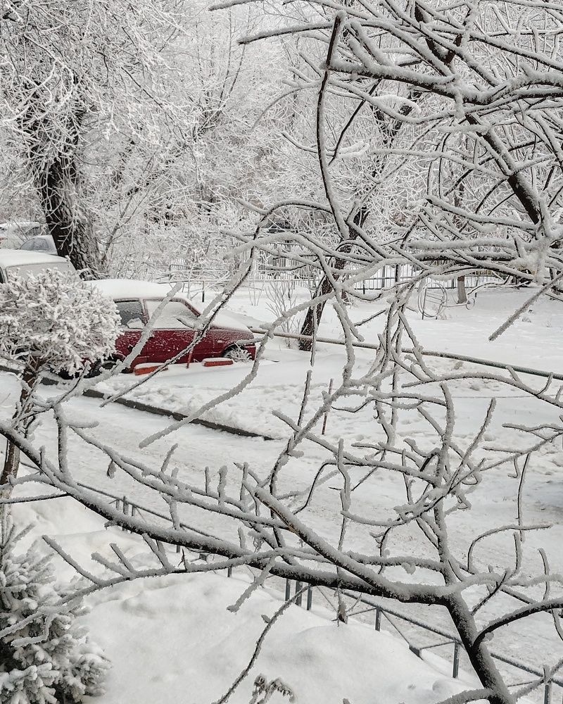 А у нас во дворе