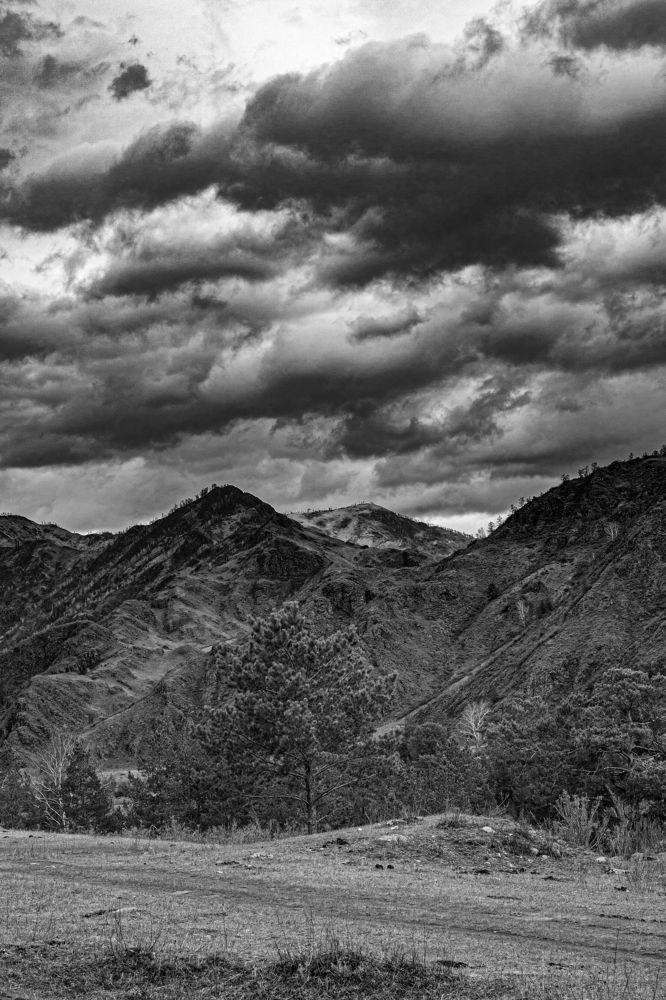 Photograph by Князев Сергей