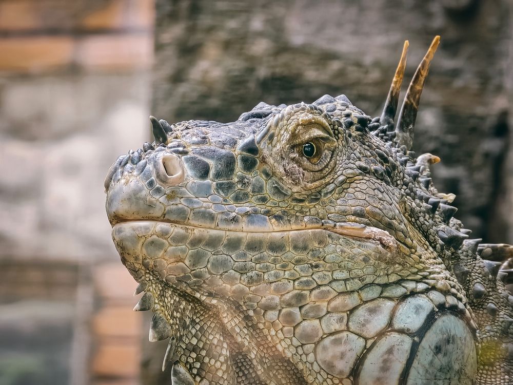 Photograph by Chau Nguyen