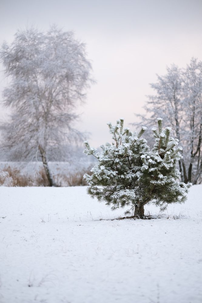 Photograph by Евгения Путинцева