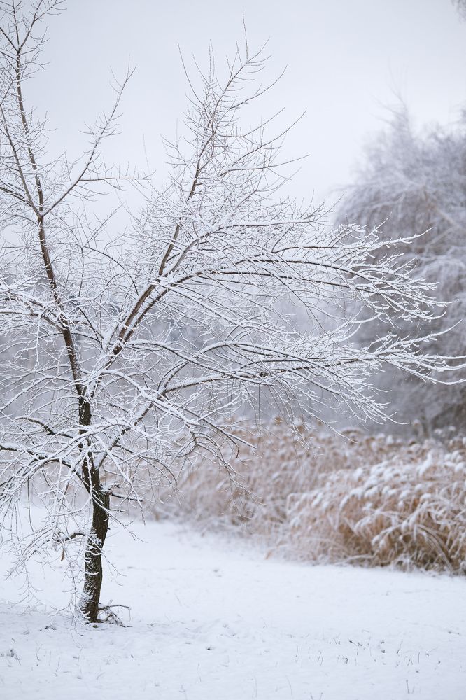 Photograph by Евгения Путинцева