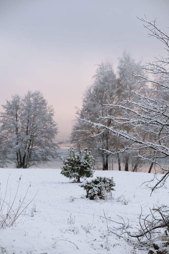 Photograph by Евгения Путинцева
