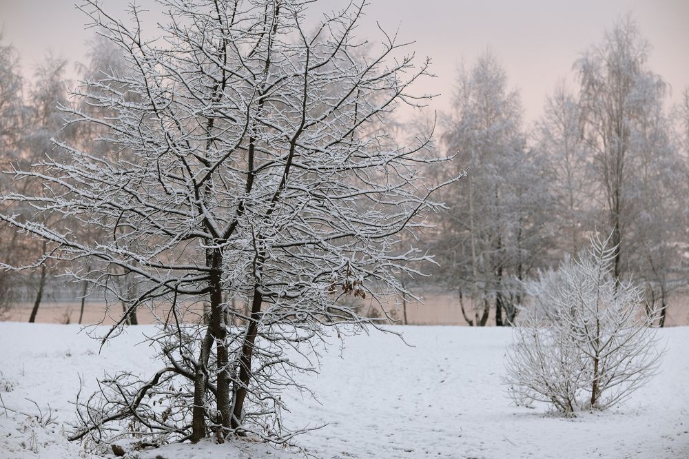 Photograph by Евгения Путинцева