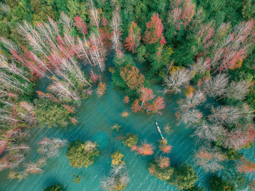 Photograph by Tran Phuong