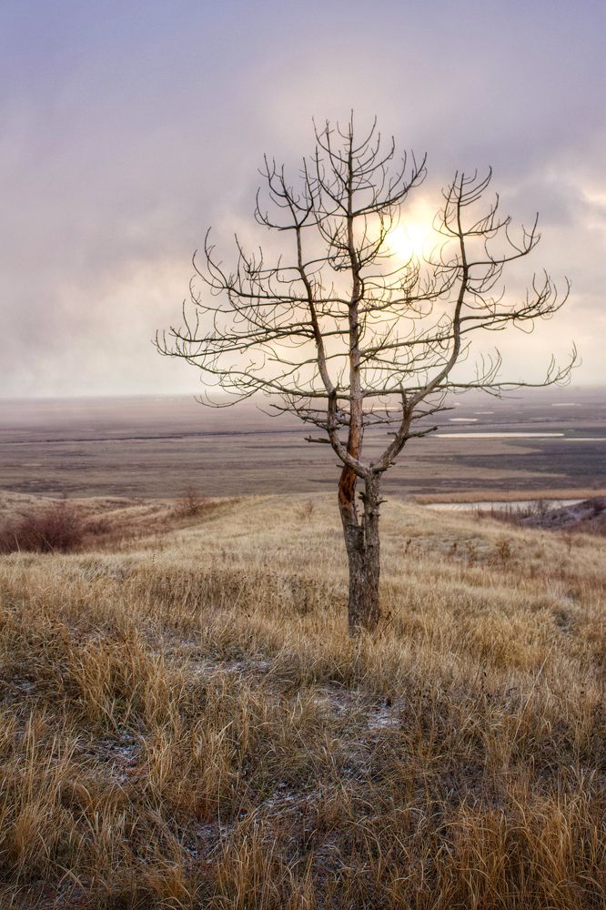 Фотография автора Татьяна Гончарова