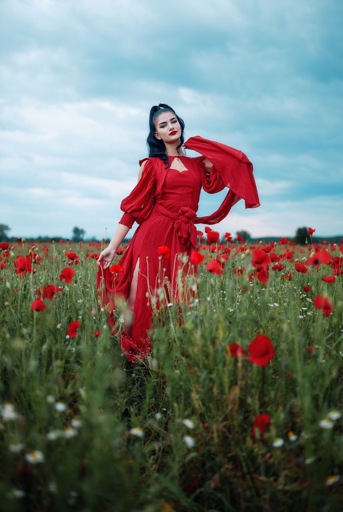 The Red Dress Chronicles: Fields of Desire