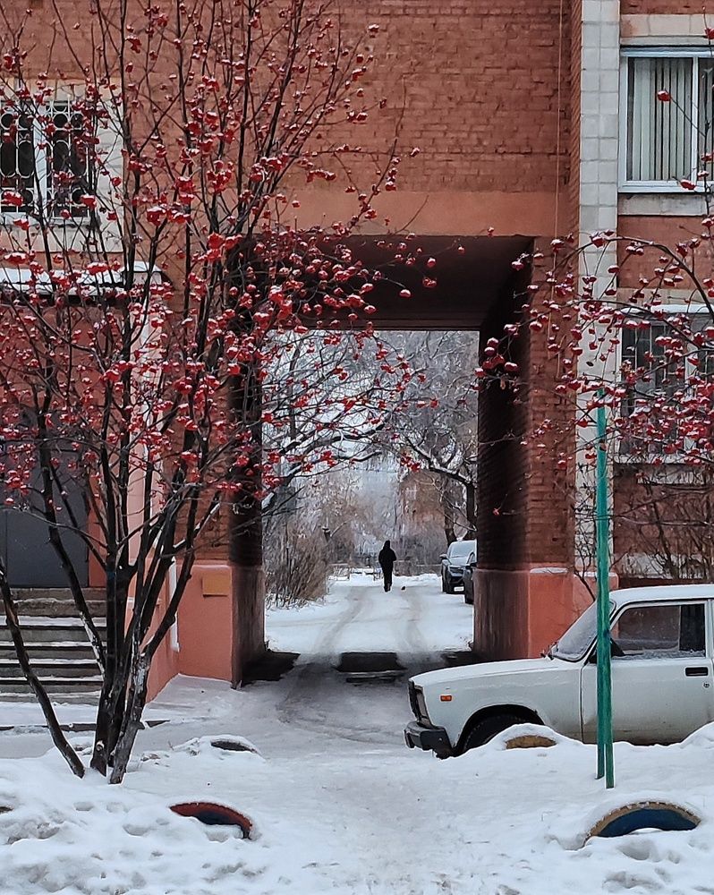 Зима в городе