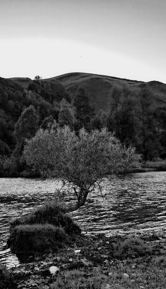 Photograph by Олеся Александрова