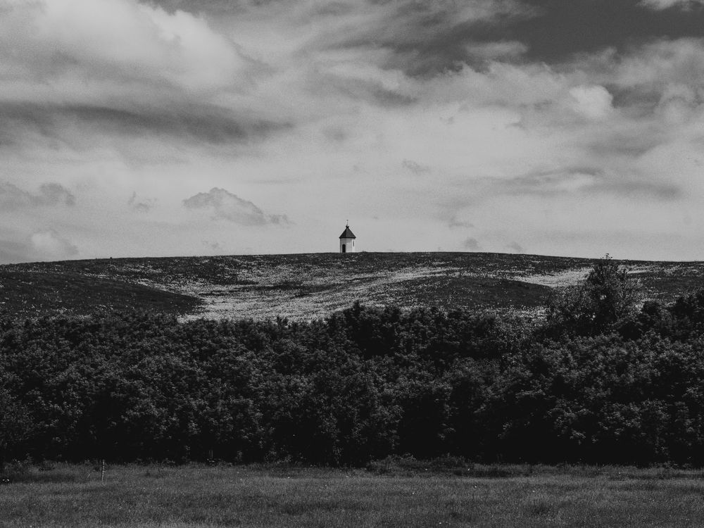 Photograph by Олеся Александрова
