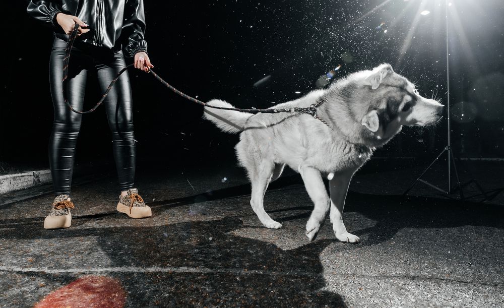 Photograph by Сенченко Андрей