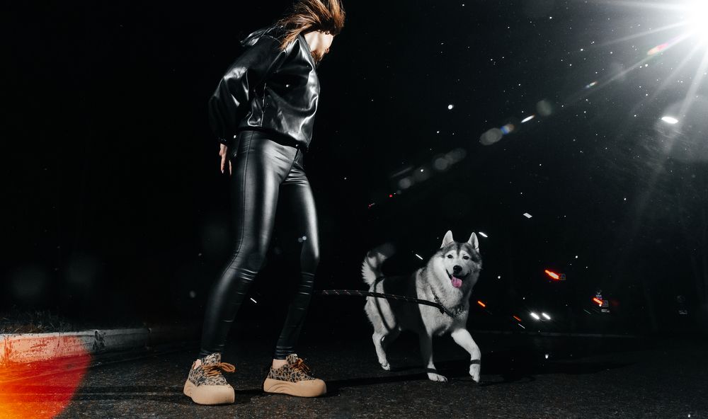 Photograph by Сенченко Андрей