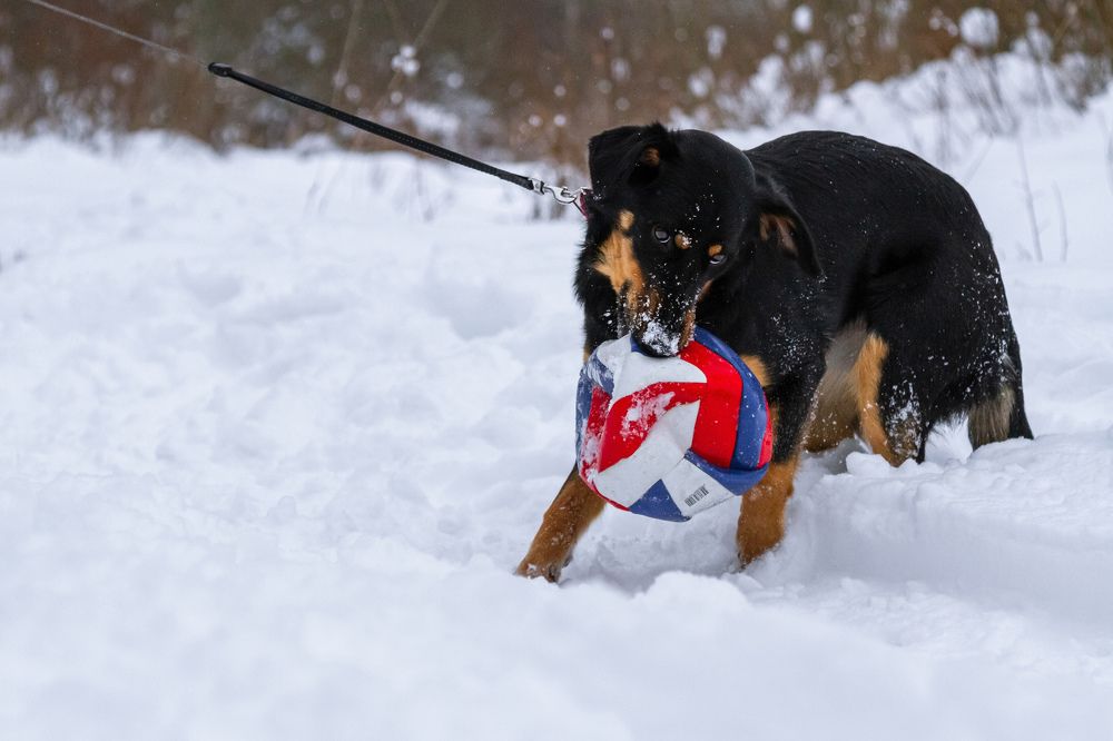 Photograph by Ольга Корчагина