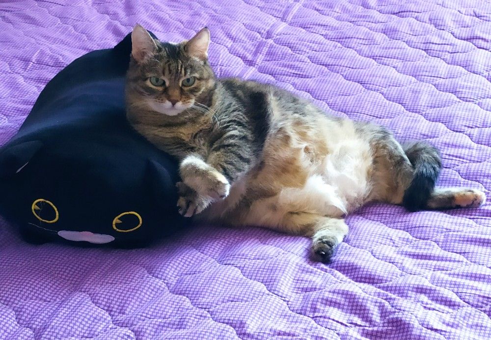 Photograph by Татьяна Клемба