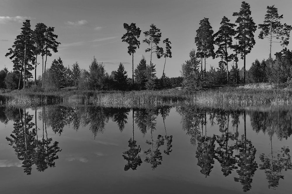 Photograph by Татьяна Бравая