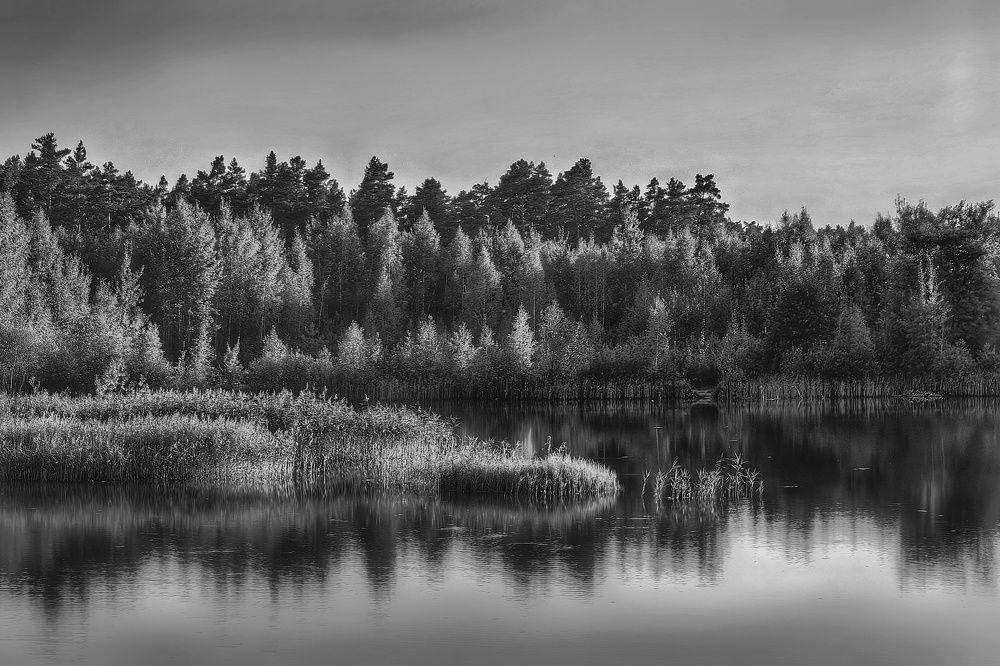 Photograph by Татьяна Бравая