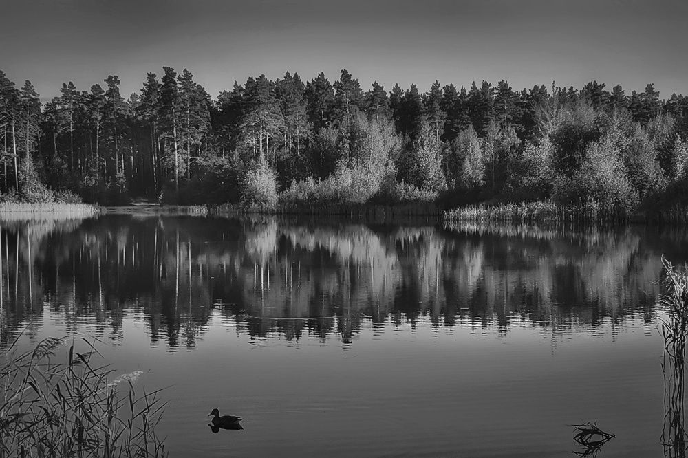 Photograph by Татьяна Бравая