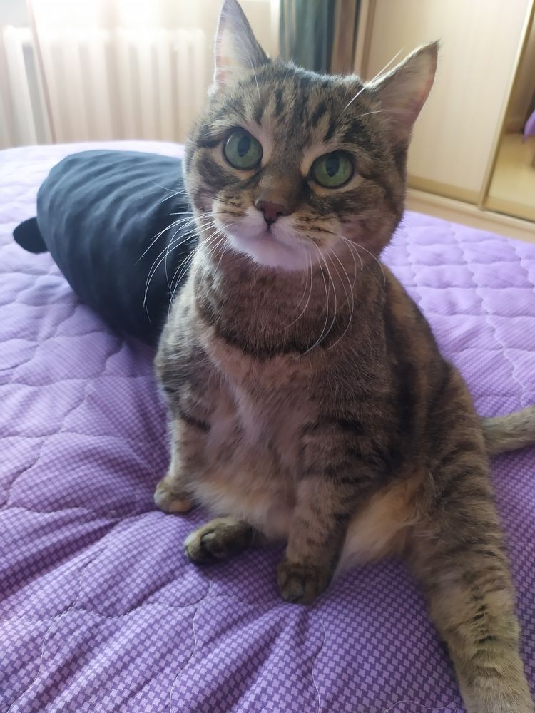 Photograph by Татьяна Клемба