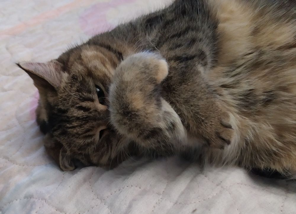 Photograph by Татьяна Клемба