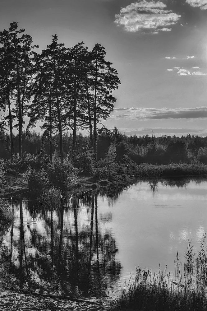 Photograph by Татьяна Бравая