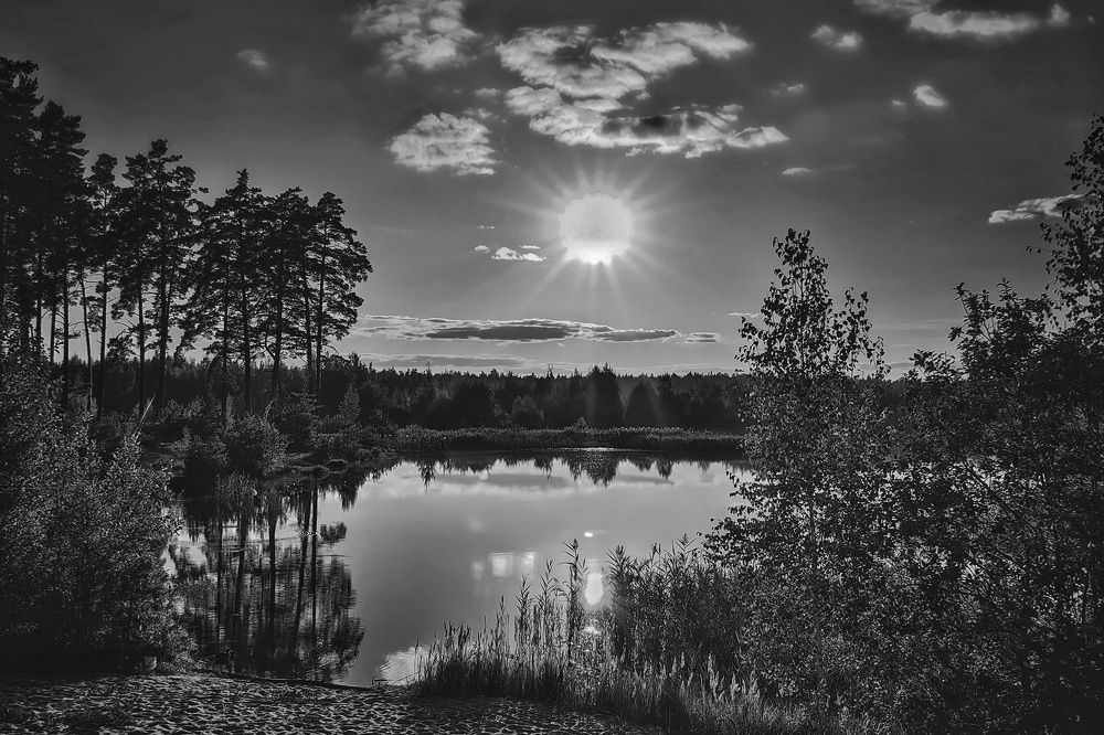 Photograph by Татьяна Бравая