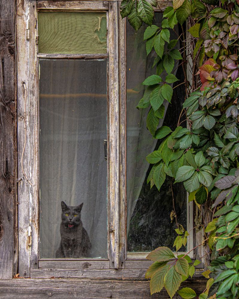 Photograph by Tatiana Shtun