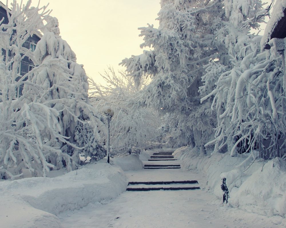 Photograph by Светлана Булыгина