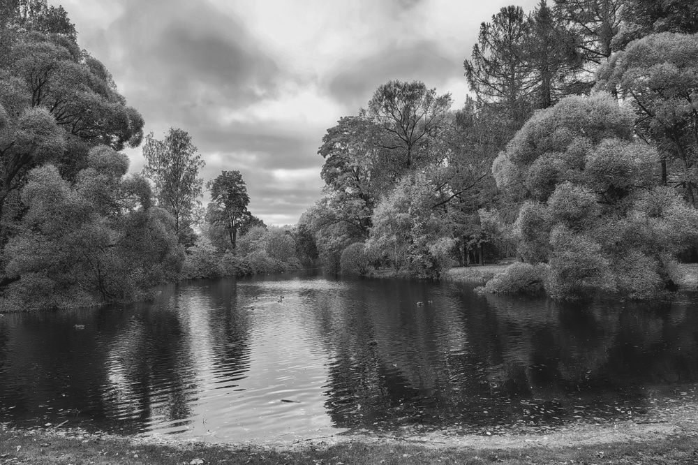 Photograph by Татьяна Бравая